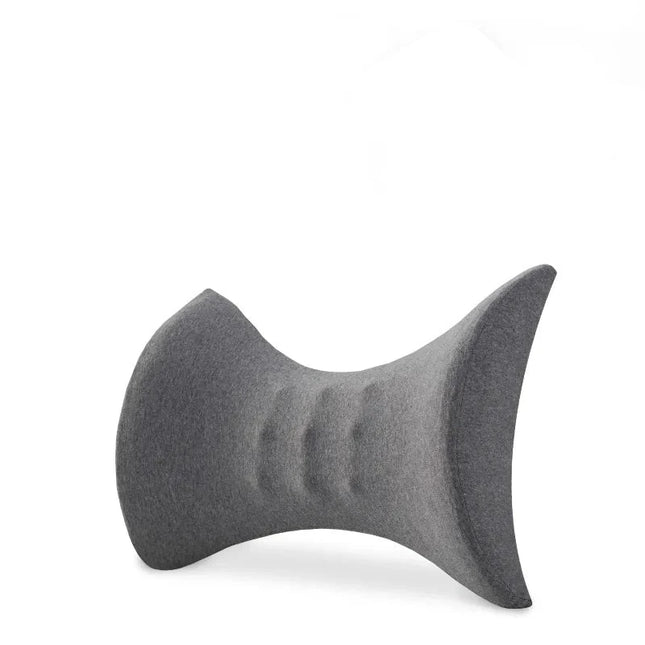 Coussin orthopédique pour le dos sur fond blanc