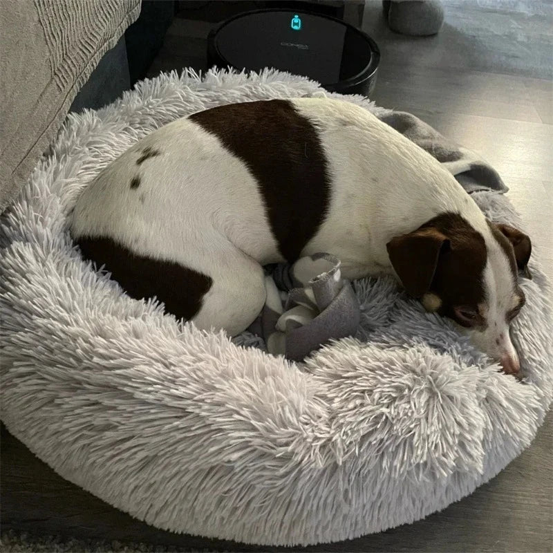 Coussin pour chien apaisant