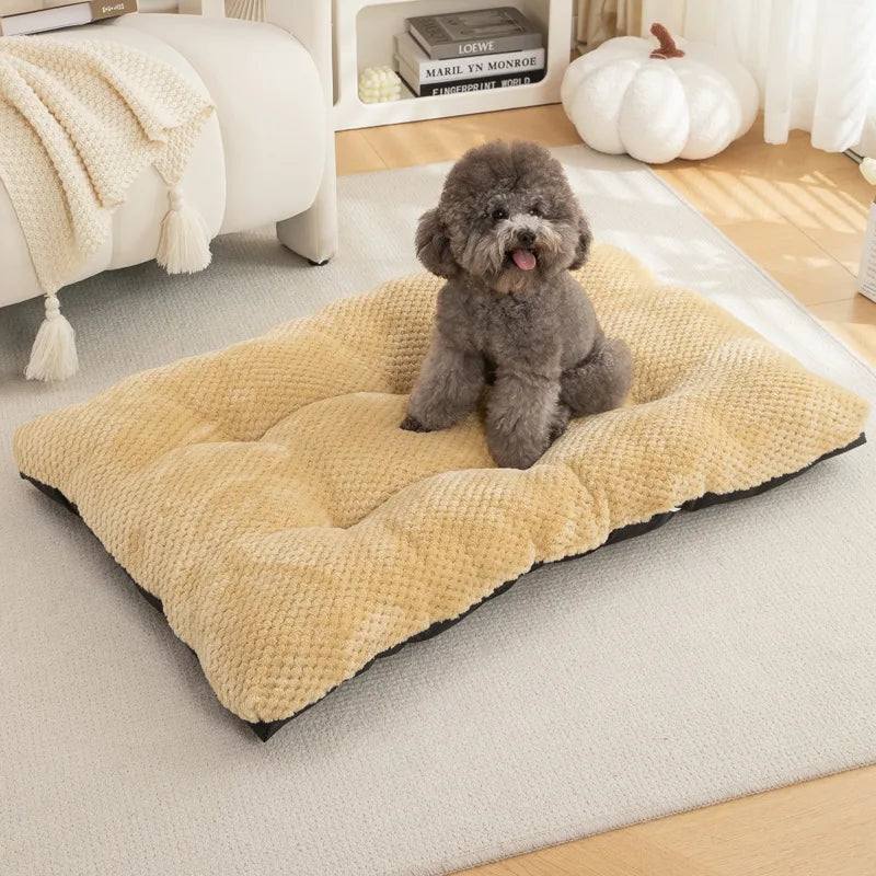 Coussin antistress pour chien 