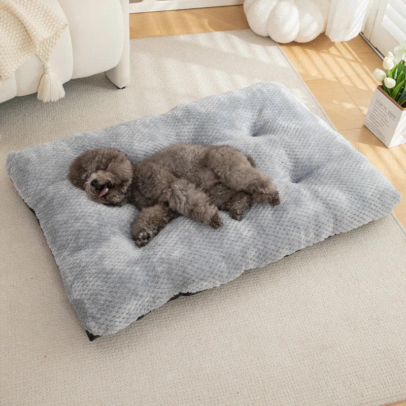 Coussin antistress pour chien avec chien allongé