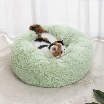 Coussin pour chat moelleux