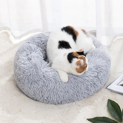 Coussin pour chat moelleux