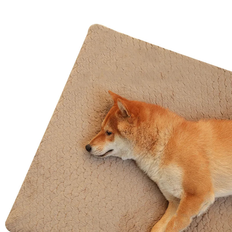 Coussin en Polymères Imperméables pour Animaux de Compagnie avec chien allongé