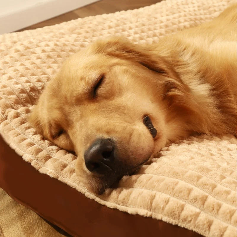 Coussin pour chien confortable