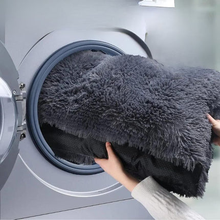 Coussin pour chien voiture